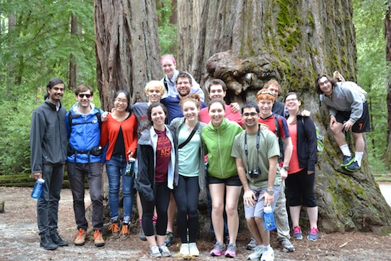 The Benton Scholars visit Big Bend Redwood State Park.