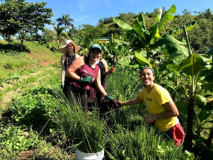 COVE students working in Puerto Rico