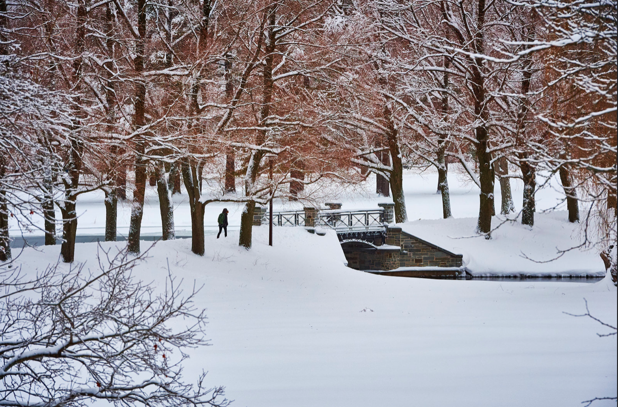 Winter in Toronto: Everything You Need to Stay Warm - !