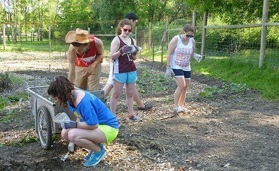 Colgate students working in the Community Garden