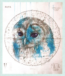 A Map of Virtue image of an Owl