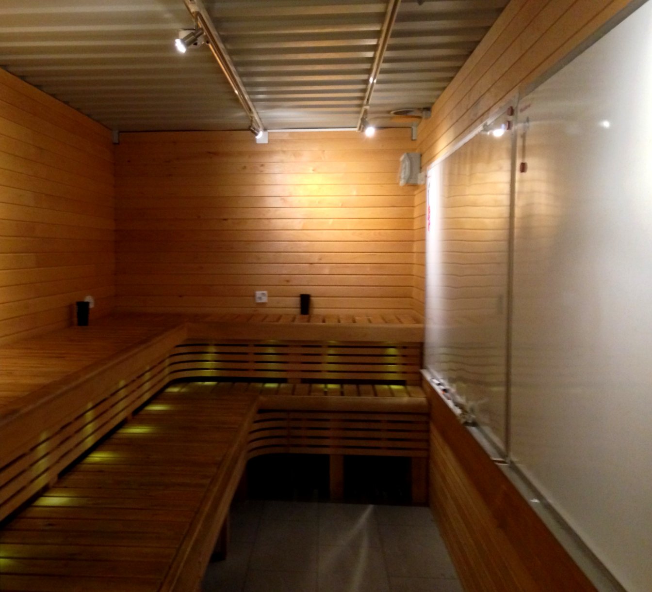 Finstoniburg: Startup Sauna | Benton Scholars News